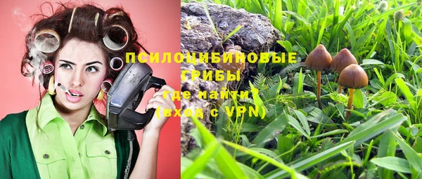 бутират Алексеевка