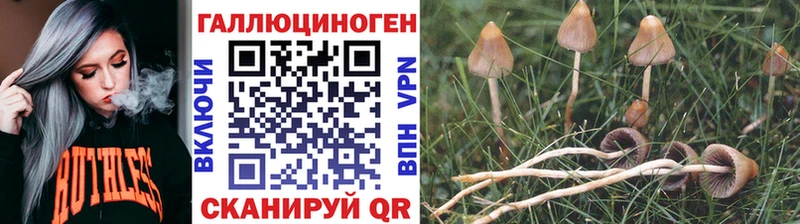 Псилоцибиновые грибы Psilocybe  дарнет шоп  Крымск 